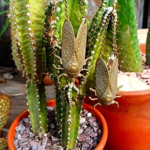 Larrisa Loden Cicada Brass Earrings